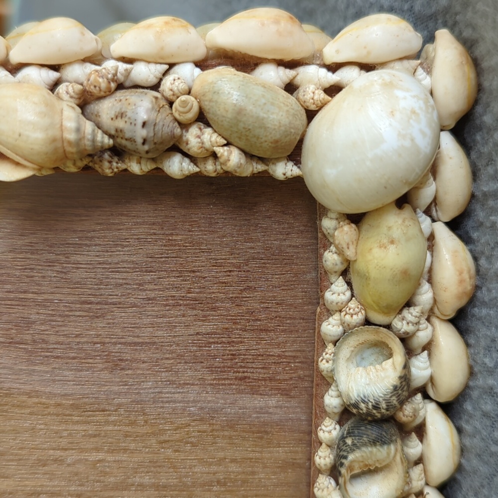 Seashell Picture Frame. - Picture 4 of 8
